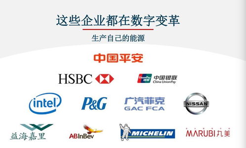 對標Adobe，Nequal如何以數(shù)據(jù)與技術(shù)雙引擎賦能企業(yè)智慧商業(yè)