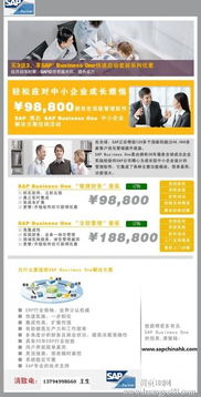 深圳SAP Business One軟件綜合服務指南 報價、實施、培訓與外包解決方案